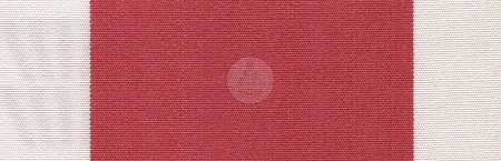 Z652-SHADE - ��������� ����
