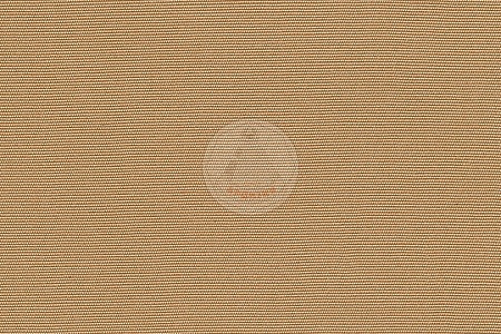 R- 100_ BEIGE. - ��������� ����