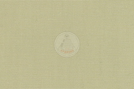 R- 115 CREMA - ��������� ����