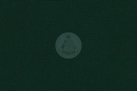 R- 163 VERDE - ��������� ����