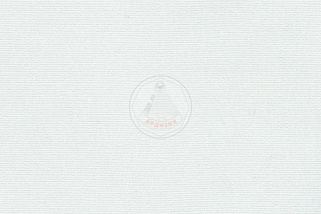 R- 099 BLANCO - ��������� ����